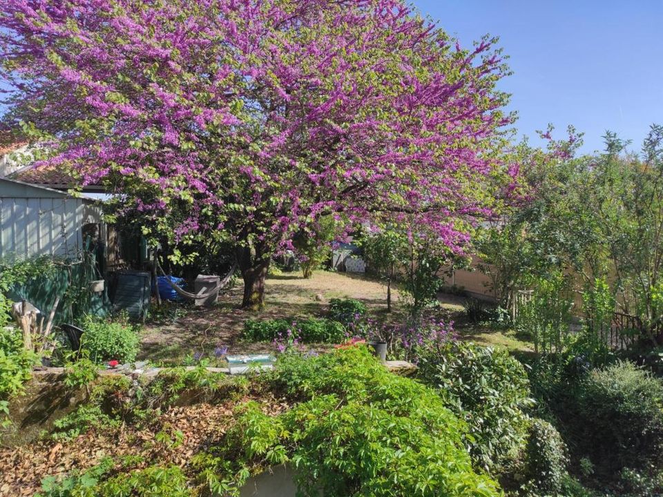 Villa i Saint-Jean-d'Angely, Charente-Maritime - foto 2