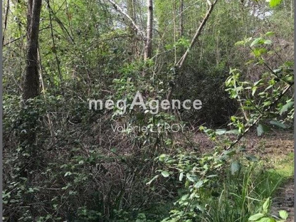 Terra a Aillas, Gironde - foto 1