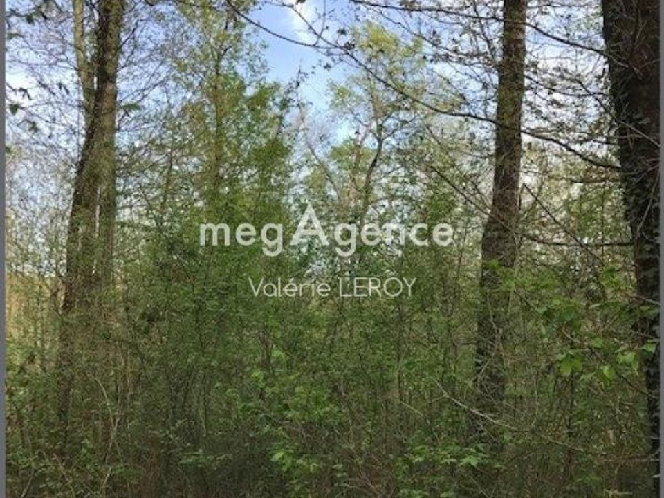Terra a Aillas, Gironde - foto 2