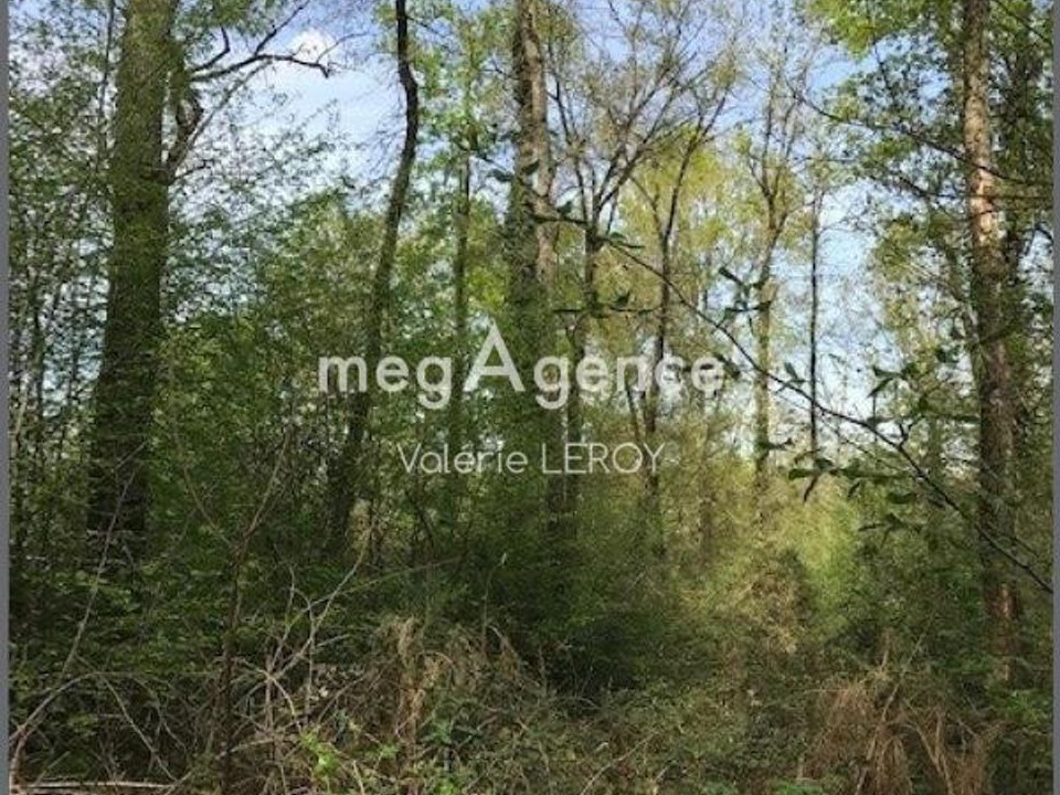 Terra a Aillas, Gironde - foto 3