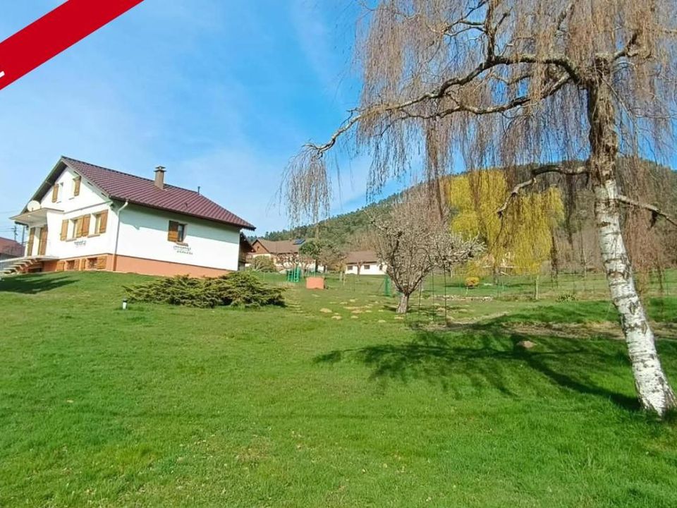 Landejendom i Taintrux, Vosges - foto 1