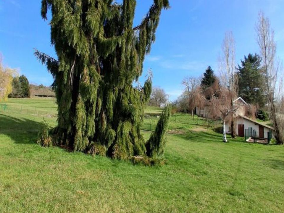 Landejendom i Taintrux, Vosges - foto 4