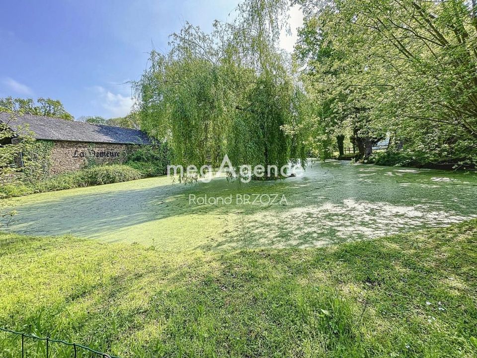 Propiedad comercial en Hédé-Bazouges, Ille-et-Vilaine - foto 2
