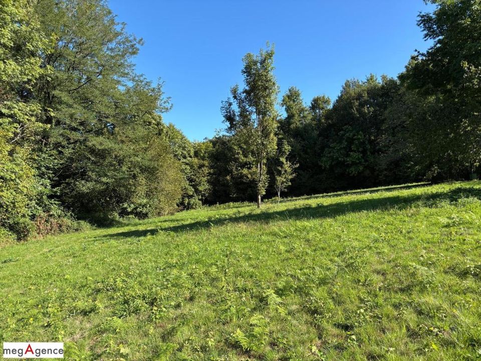 Helårsgrund i Saint-Germain-les-Vergnes, Correze - foto 5