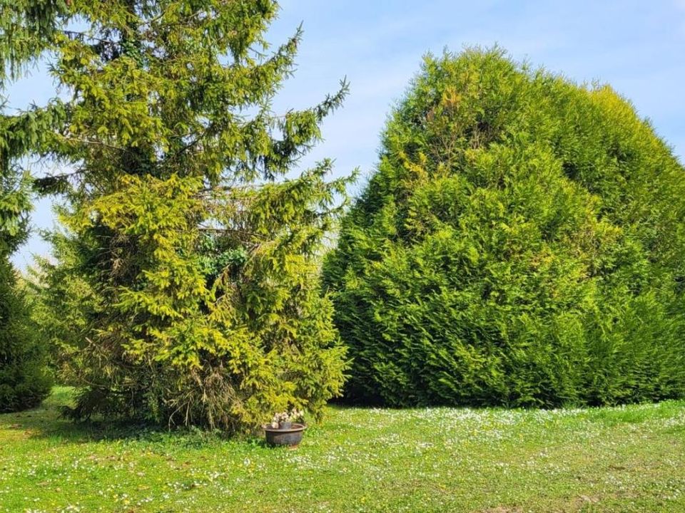 Tomt i Beauce-la-Romaine, Loir-et-Cher - bilde 2