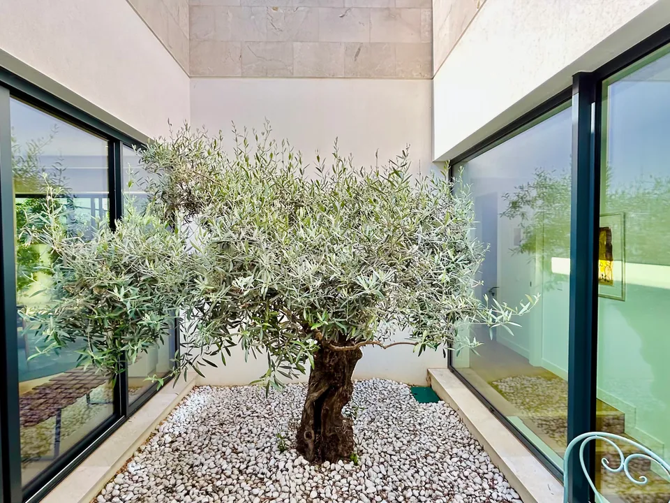 Villa i Cala Vinyes, Mallorca - foto 3