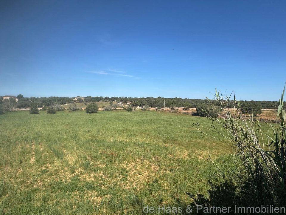 Villa en Campos, Mallorca - foto 4