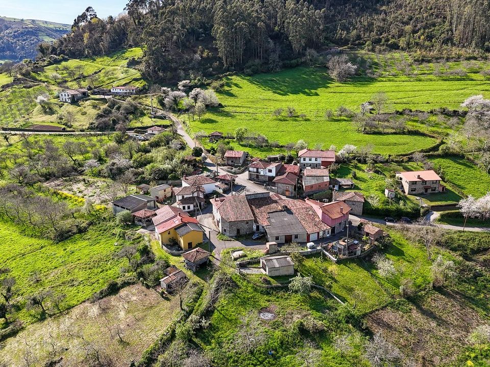 Reihenhaus in Villaviciosa, Asturias - Foto 3