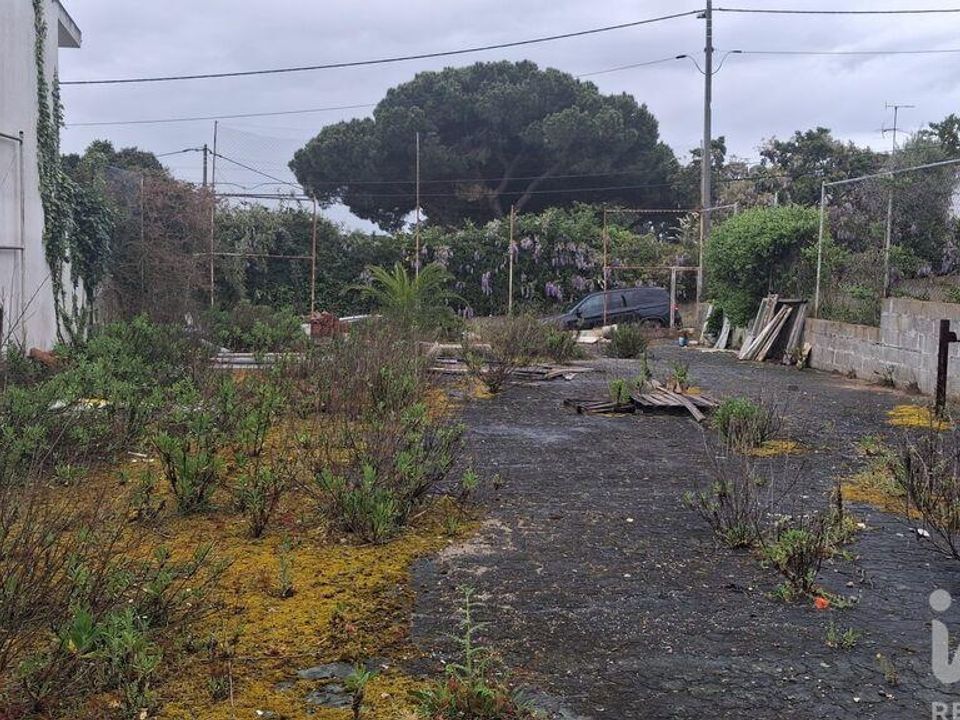 Helårsgrund i Sesimbra, Setubal - foto 5