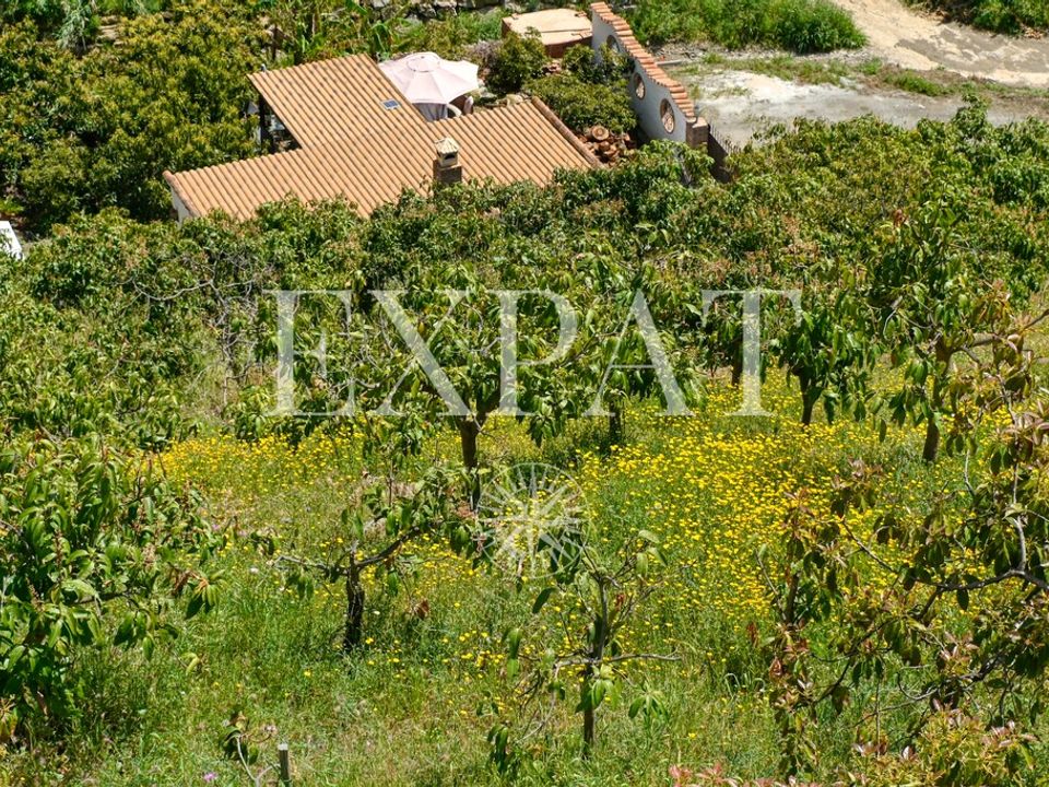Landejendom i Sayalonga, Malaga - foto 1