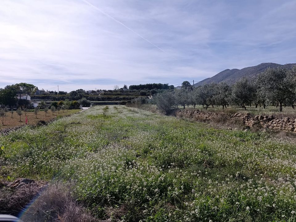 Helårsgrund i Benissa, Alicante - foto 4