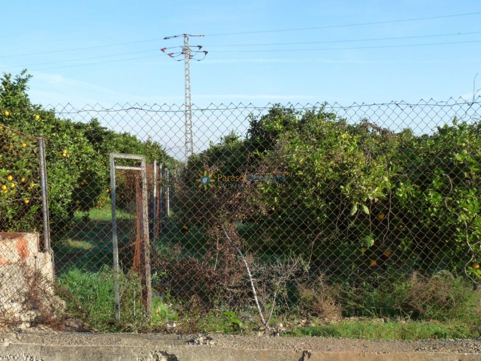 Helårsgrund i Oliva, Valencia - foto 3