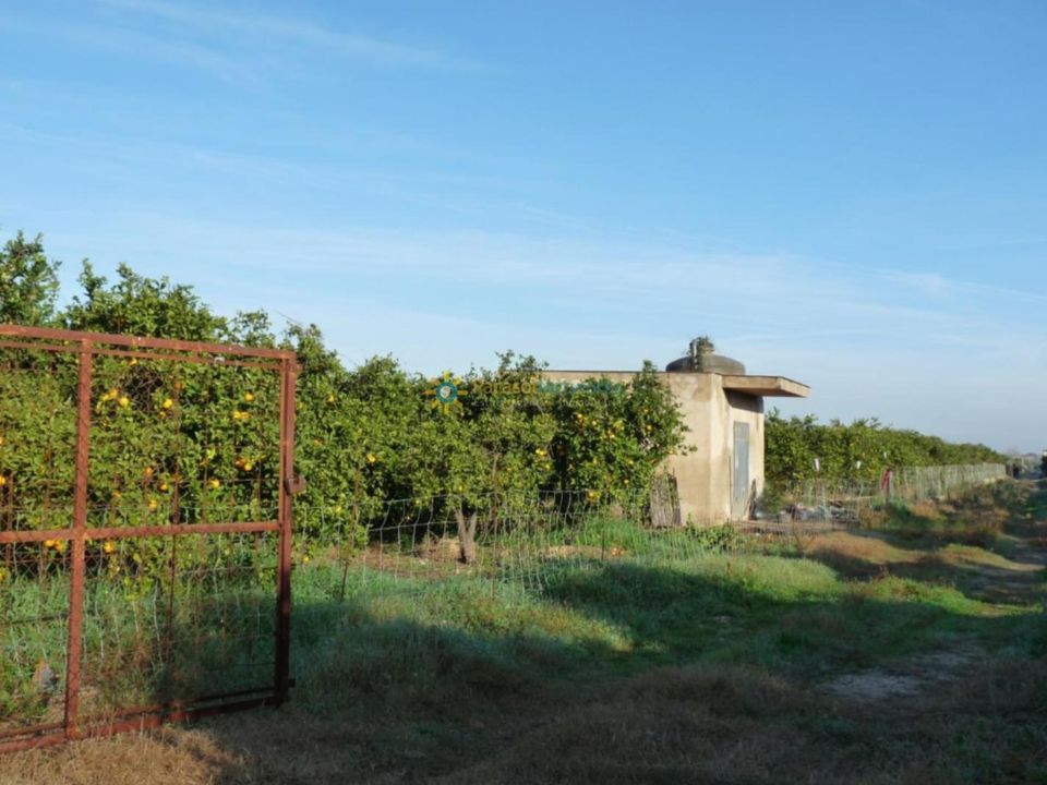 Helårsgrund i Oliva, Valencia - foto 2