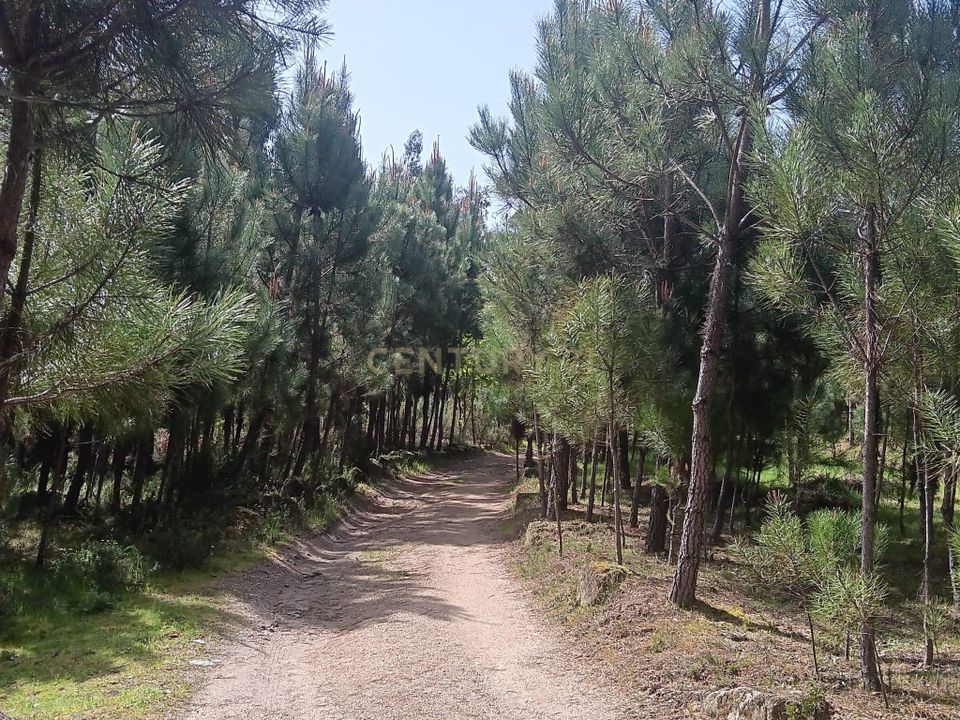 Helårsgrund i Viseu, Viseu - foto 3