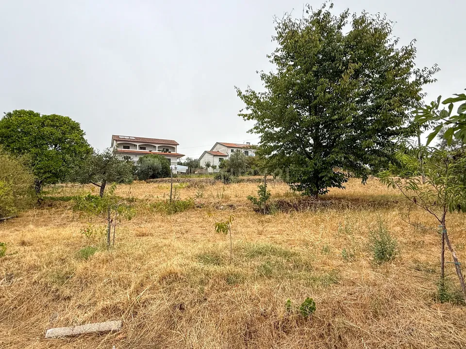 Helårsgrund i Viseu, Viseu - foto 3