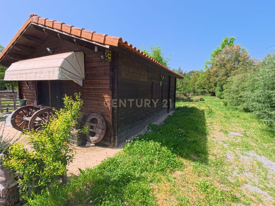 Farm hus i Santa Comba Dao, Viseu - foto 2