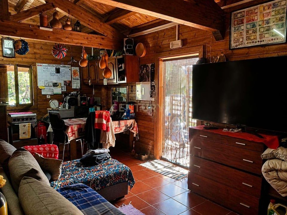 Farm hus i Santa Comba Dao, Viseu - foto 3