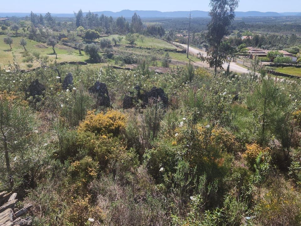 Helårsgrund i Cebolais de Cima, Castelo Branco - foto 2