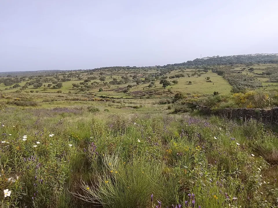 Helårsgrund i Nisa, Portalegre - foto 1