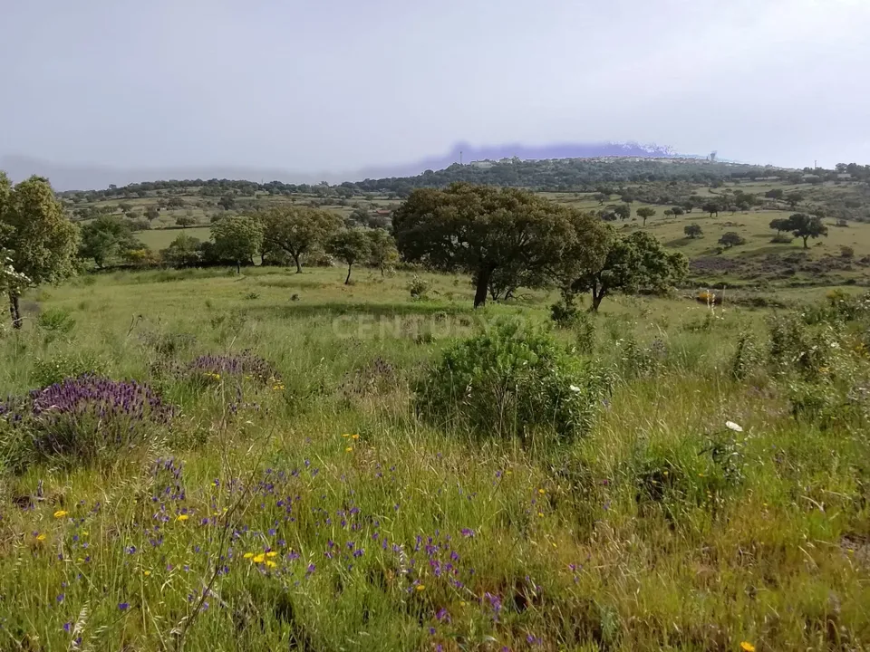 Helårsgrund i Nisa, Portalegre - foto 2