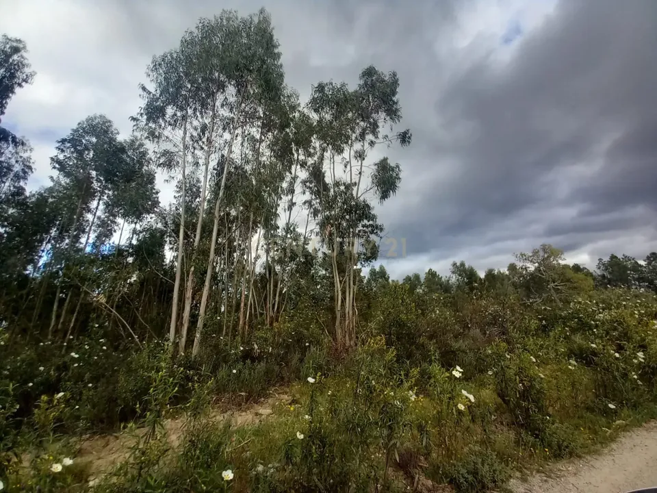 Helårsgrund i Vila Velha de Rodao, Castelo Branco - foto 2
