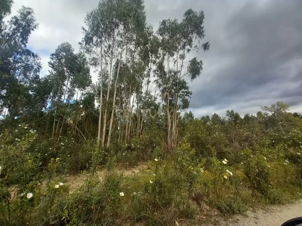 Helårsgrund i Vila Velha de Rodao, Castelo Branco - foto 3
