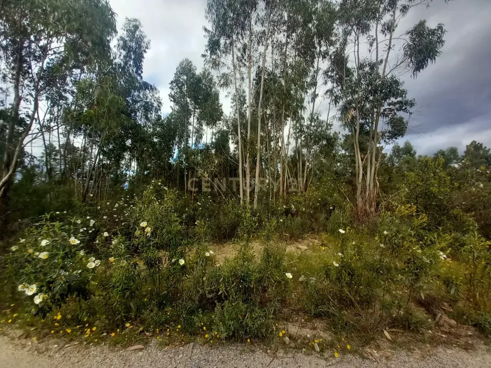 Helårsgrund i Vila Velha de Rodao, Castelo Branco - foto 5
