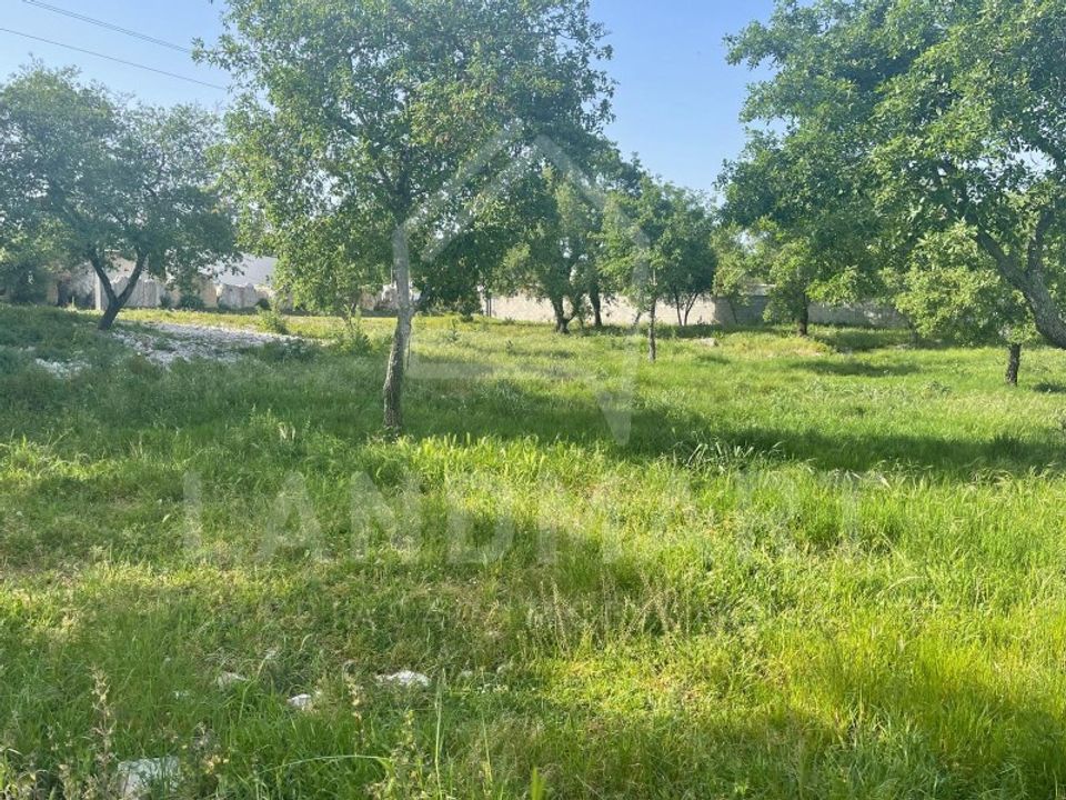 Erhvervsejendom i Turquel, Leiria - foto 4