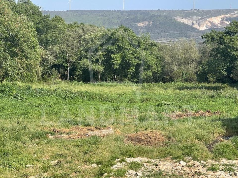 Erhvervsejendom i Turquel, Leiria - foto 5