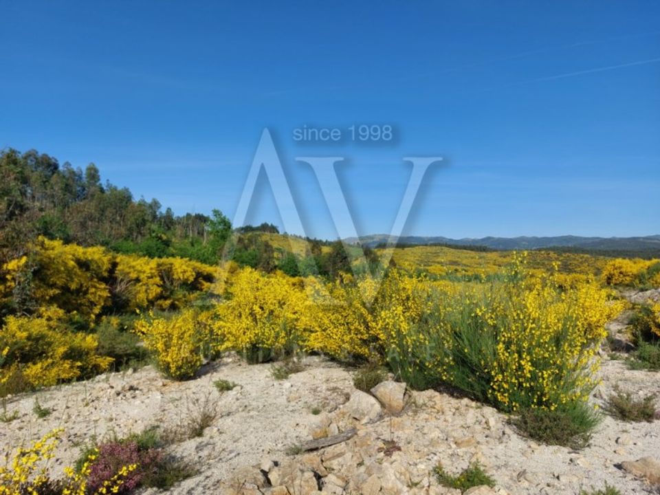 Helårsgrund i Vouzela, Viseu - foto 4