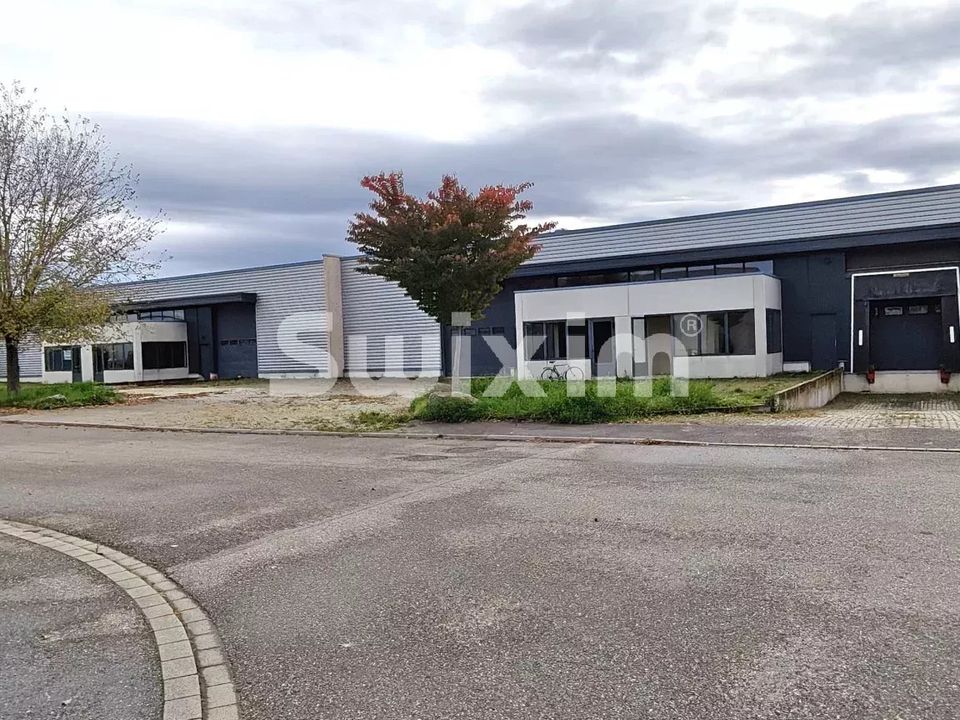 L'establiment comercial a Sélestat, Bas-Rhin - foto 2
