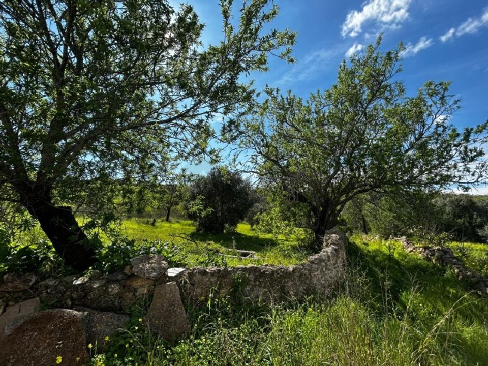 Villa i Alcantarilha, Faro - foto 5