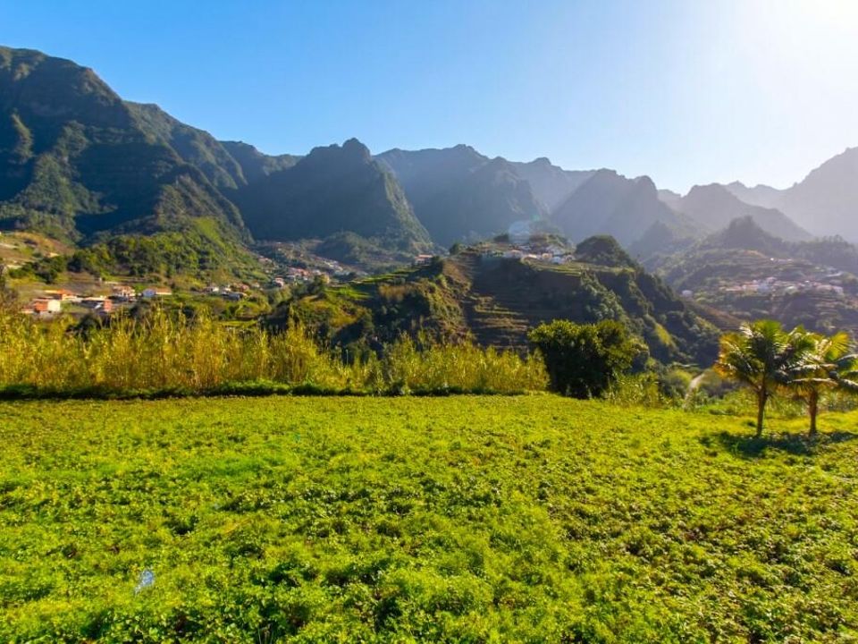 Helårsgrund i Sao Vincente, Madeira - foto 5