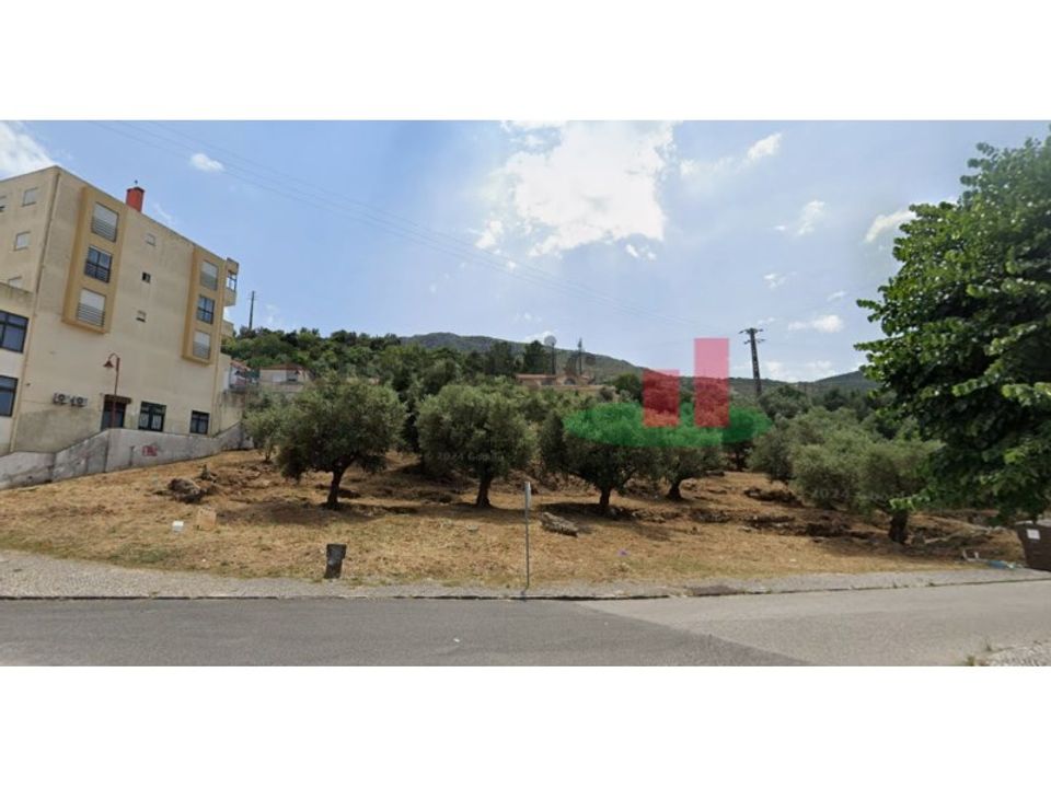 Terra em Minde, Santarem - foto 4