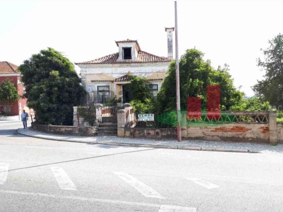 Farm i Abrantes, Santarem - foto 3