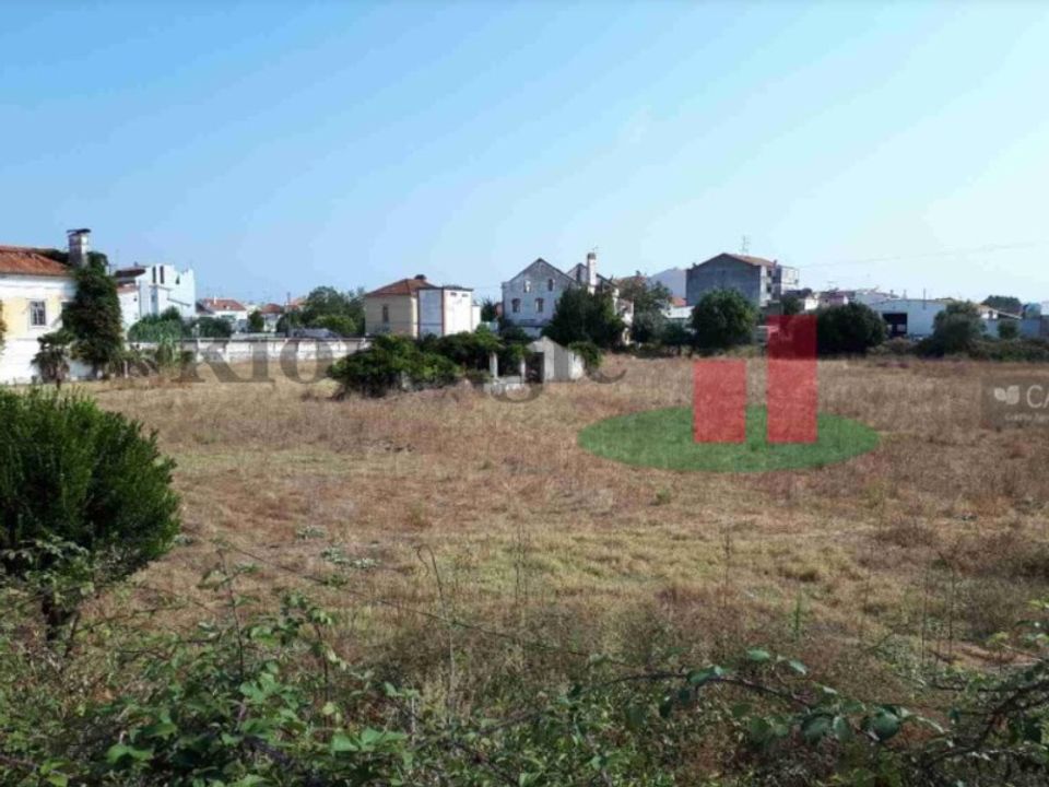 Farm i Abrantes, Santarem - foto 4