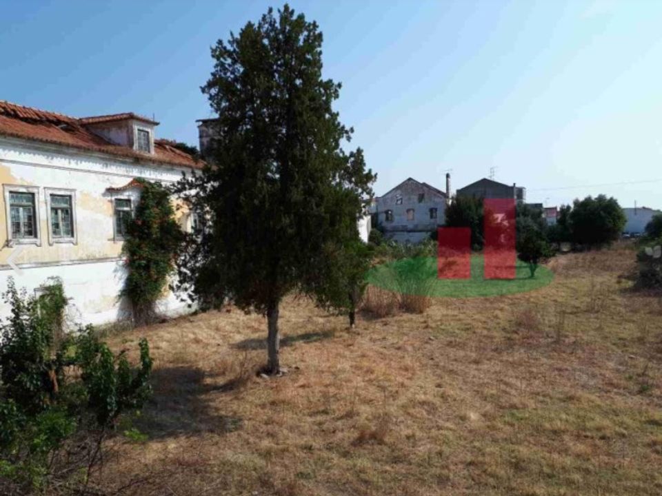 Farm i Abrantes, Santarem - foto 5