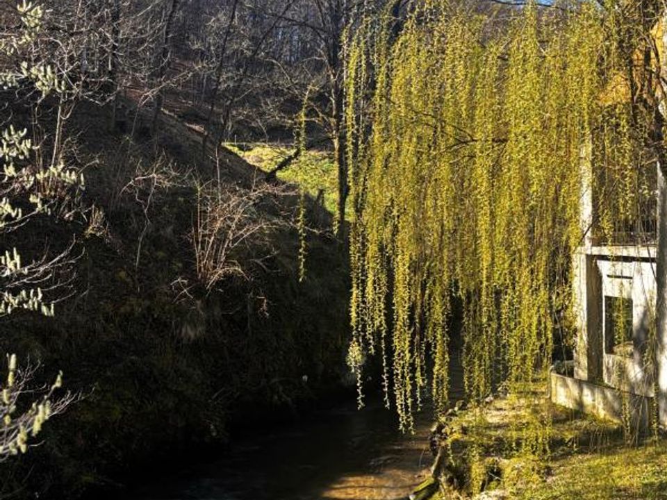 Gårdshus i Boisset, Cantal - bilde 3