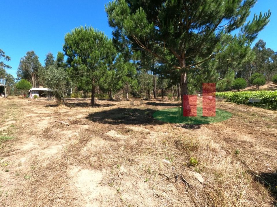 Villa i Asseiceira, Santarem - foto 1