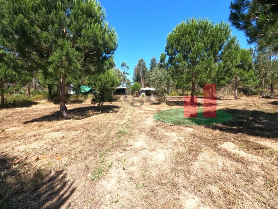 Villa i Asseiceira, Santarem - foto 2