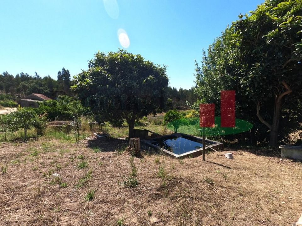 Villa i Asseiceira, Santarem - foto 4