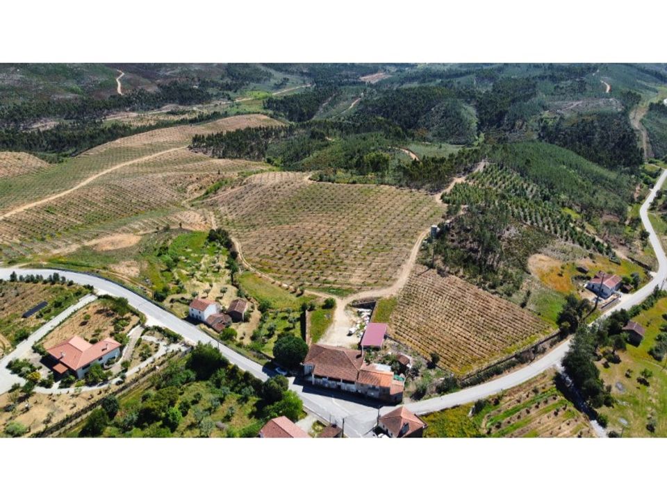 Farm i Macao, Santarem - foto 1