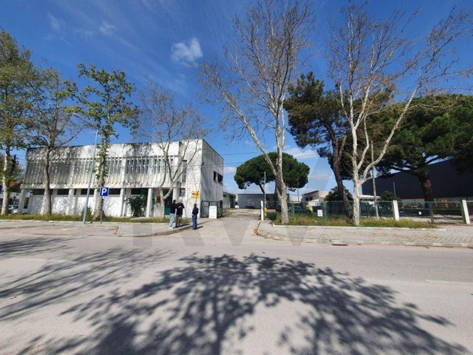 Erhvervsejendom i Coruche, Santarem - foto 2