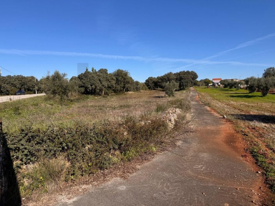 Helårsgrund i Torres Novas, Santarem - foto 2