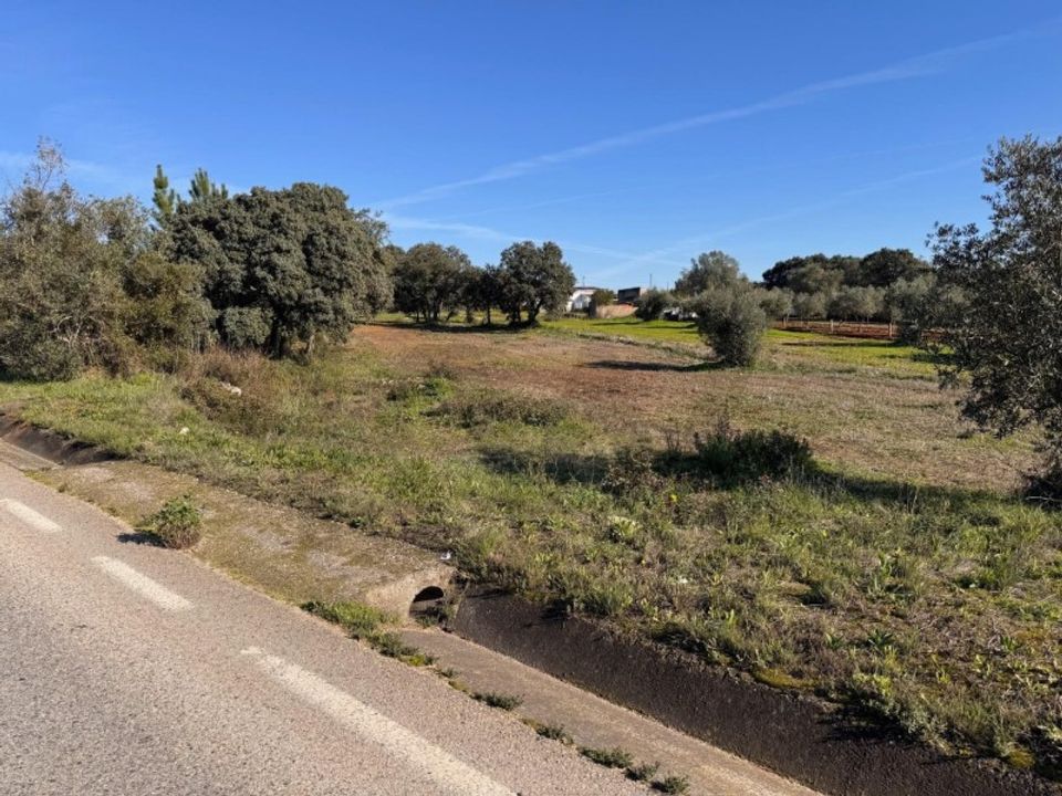 Helårsgrund i Torres Novas, Santarem - foto 3