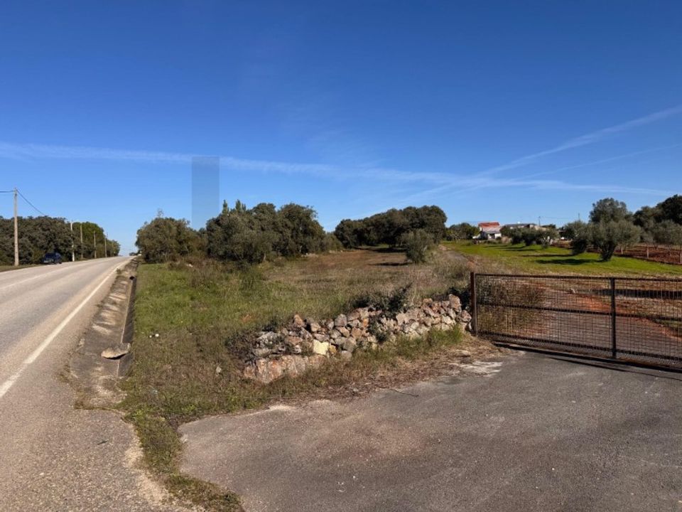 Helårsgrund i Torres Novas, Santarem - foto 5