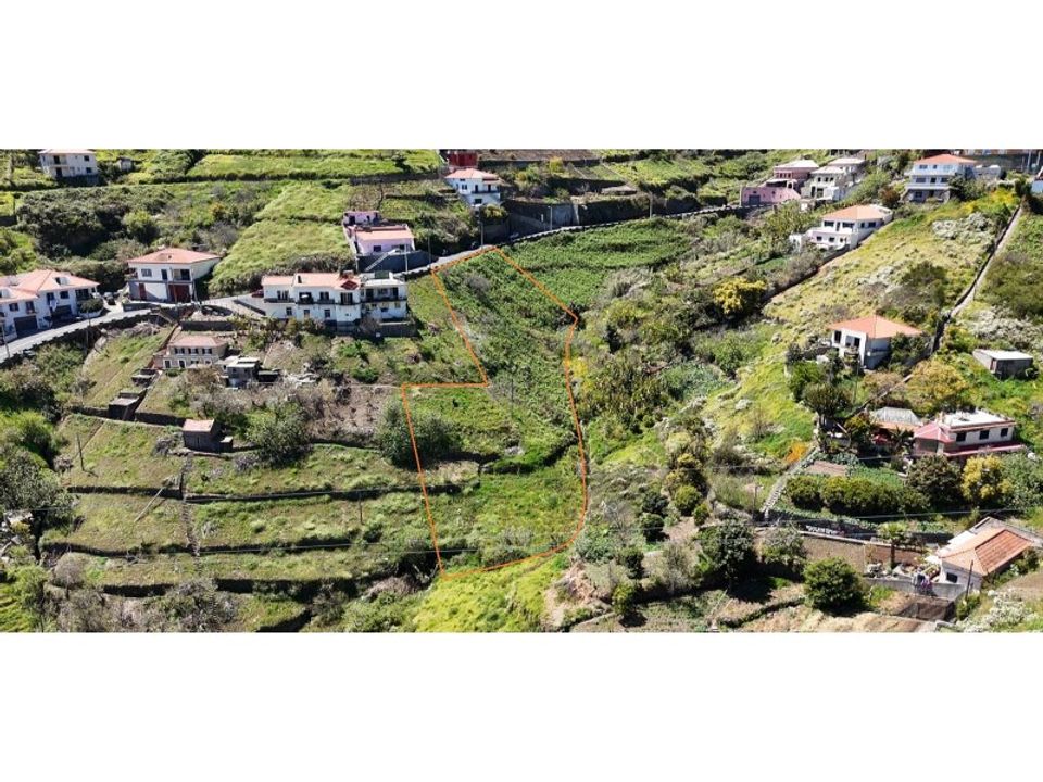 Helårsgrund i Camara de Lobos, Madeira - foto 2