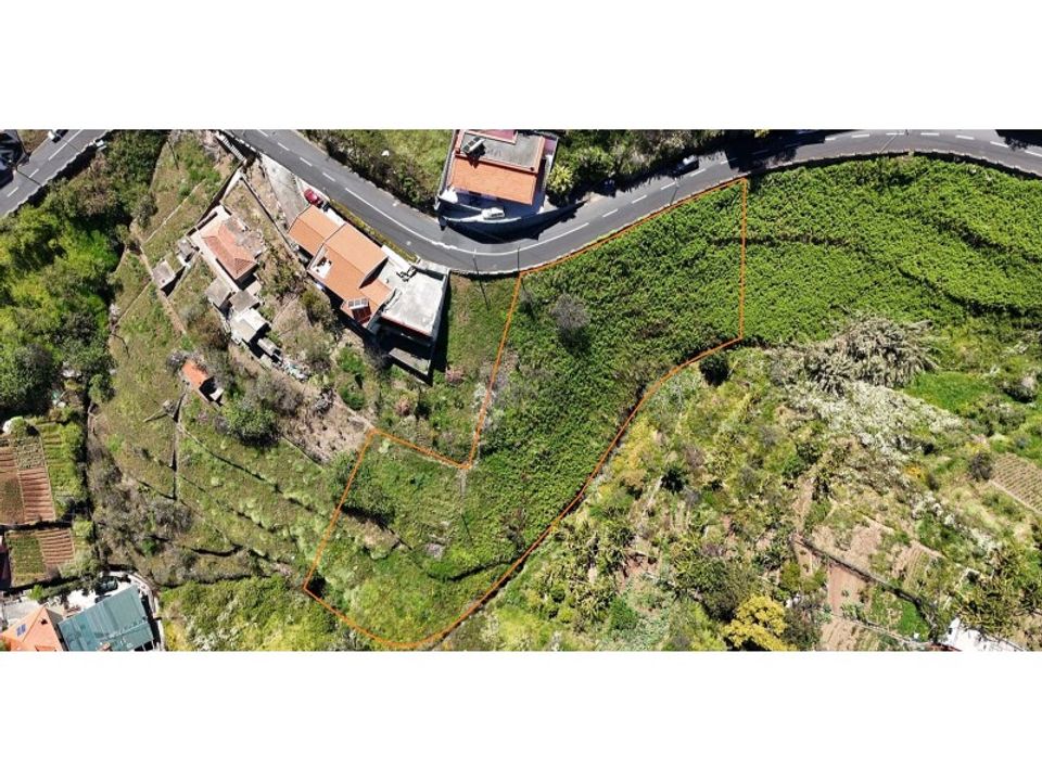 Helårsgrund i Camara de Lobos, Madeira - foto 5
