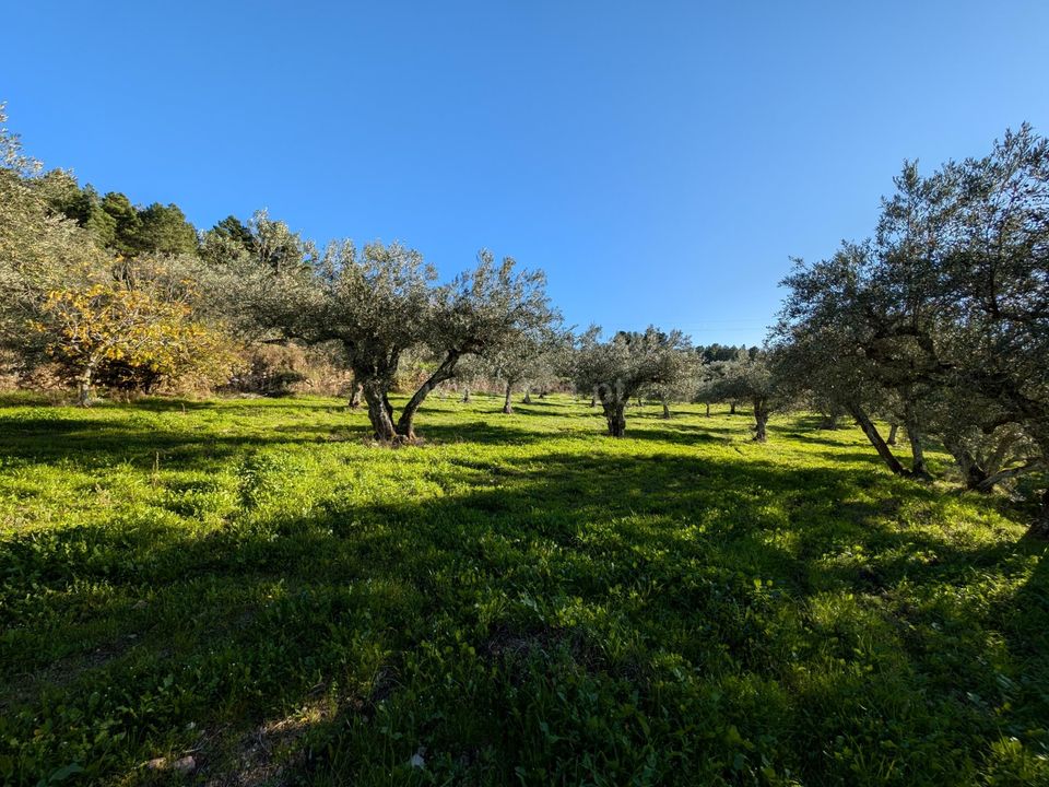Villa i Trancoso, Guarda - bilde 2