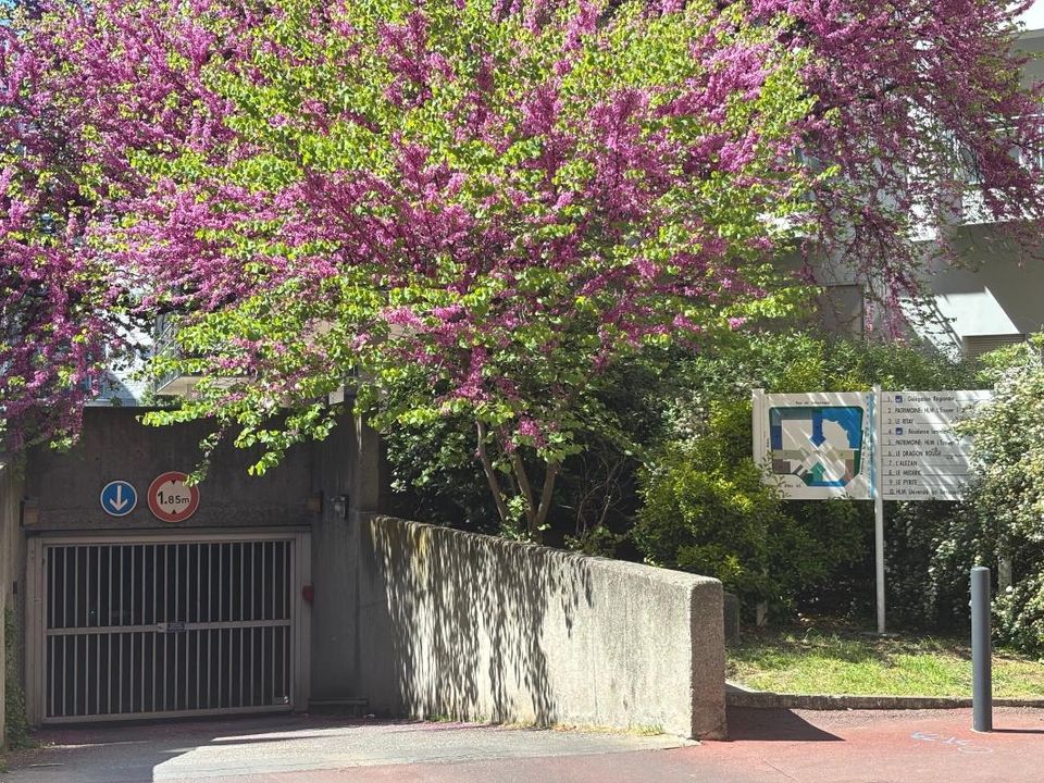 Parkeringsplads i Toulouse, Haute-Garonne - foto 3